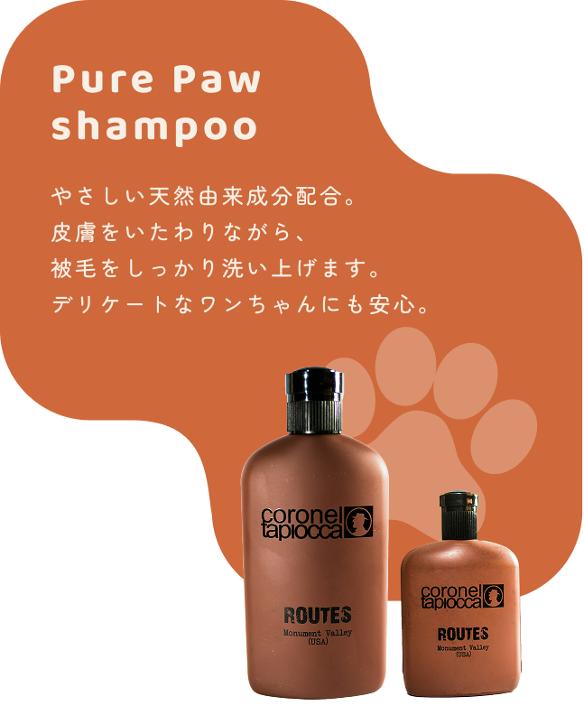 シャンプー