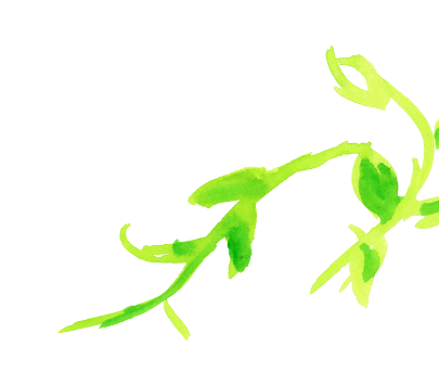 草