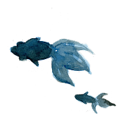 金魚