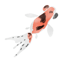 金魚
