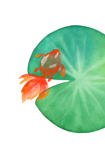 魚と草