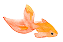 金魚