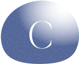 CSS
